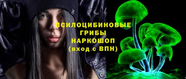 прущий лед Армянск