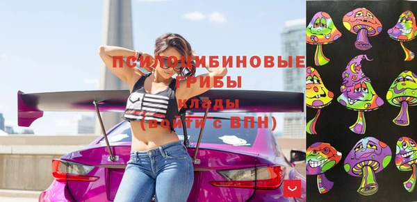 гидропоника Арсеньев